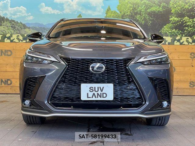 Lexus NX 2025-10 8146075-13