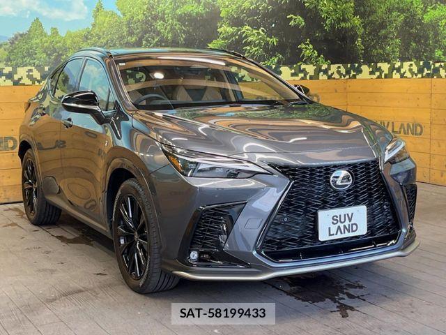 Lexus NX 2025-10 8146075-15