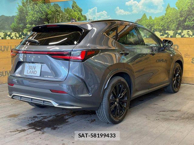 Lexus NX 2025-10 8146075-16