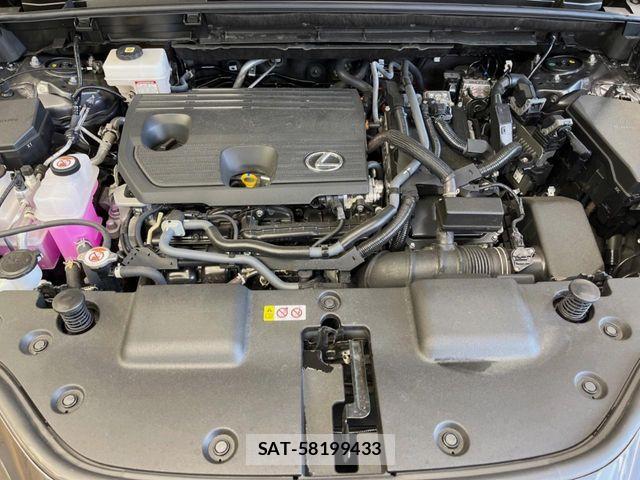 Lexus NX 2025-10 8146075-17