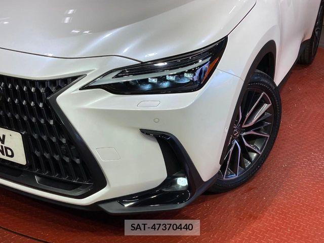 Lexus NX 2023-07 8146079-11