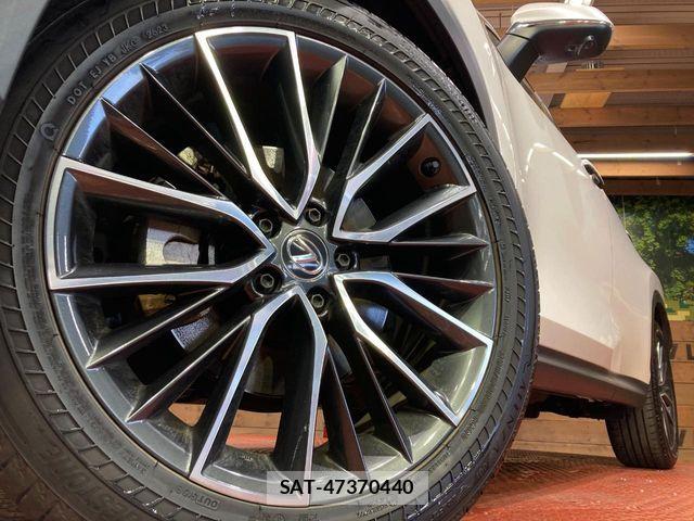 Lexus NX 2023-07 8146079-12