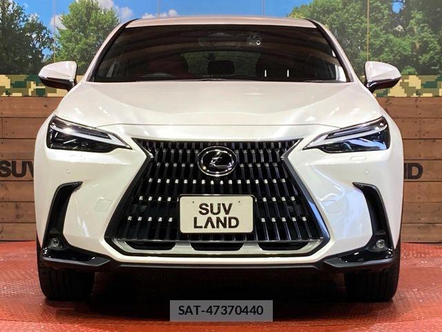Lexus NX 2023-07 8146079-13