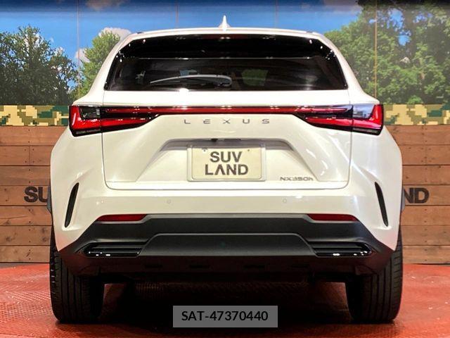 Lexus NX 2023-07 8146079-14