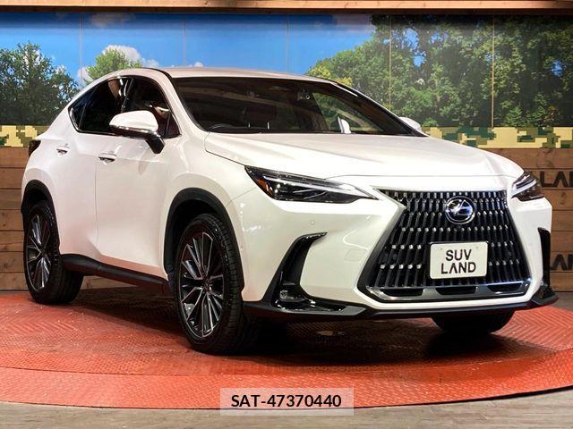 Lexus NX 2023-07 8146079-15