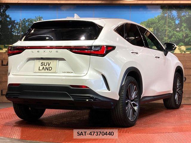 Lexus NX 2023-07 8146079-16