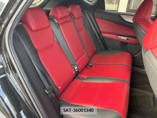 Lexus NX 2023-03 8146077-10