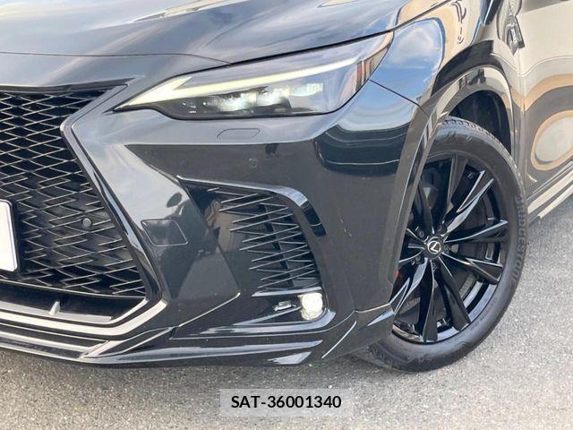 Lexus NX 2023-03 8146077-13