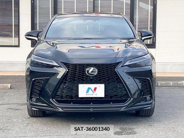Lexus NX 2023-03 8146077-15