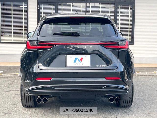Lexus NX 2023-03 8146077-16