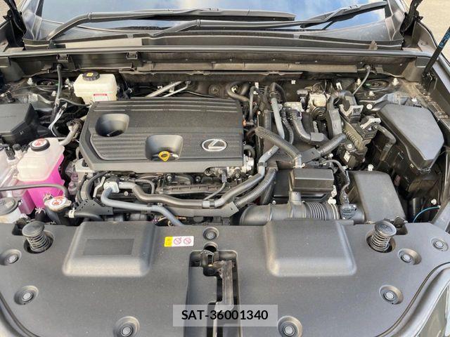 Lexus NX 2023-03 8146077-17