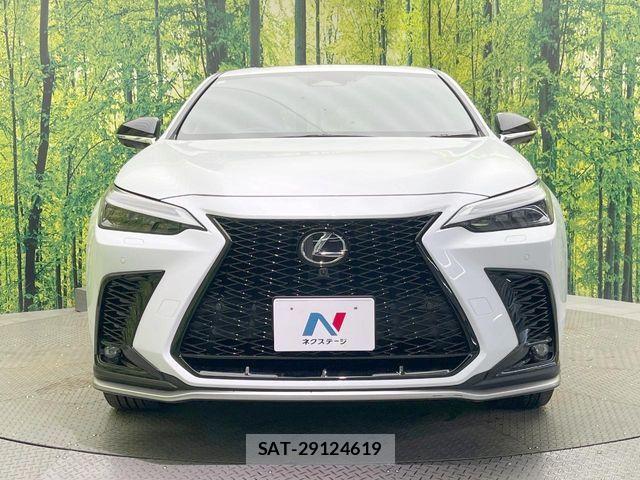 Lexus NX 2023-08 8146076-13