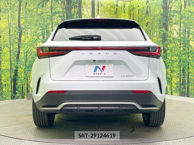 Lexus NX 2023-08 8146076-14