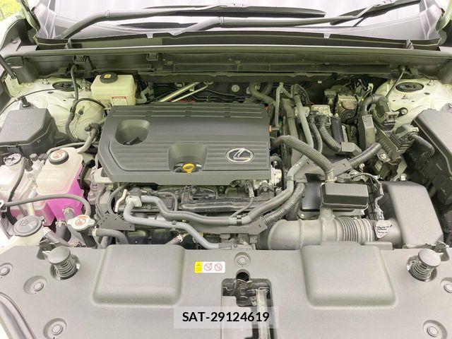 Lexus NX 2023-08 8146076-17