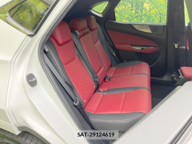Lexus NX 2023-08 8146076-8