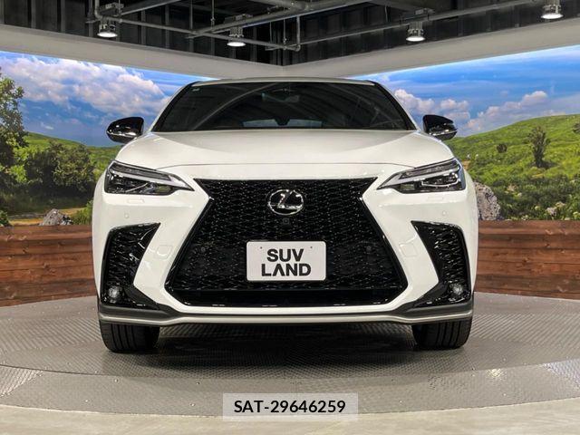 Lexus NX 2024-07 8208434-14