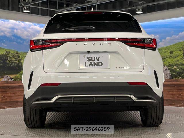 Lexus NX 2024-07 8208434-15