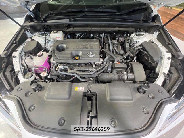 Lexus NX 2024-07 8208434-17