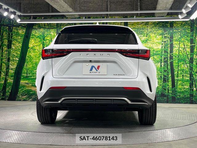 Lexus NX 2025-12 8208432-14