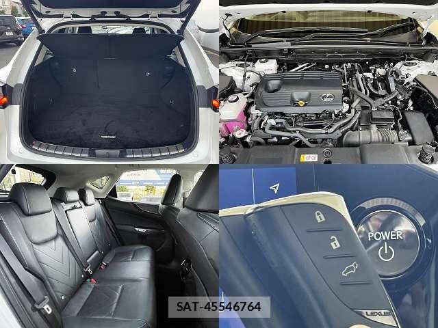 Lexus NX 2022-04 8208444-7