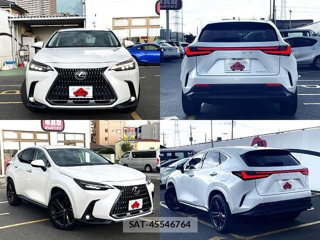 Lexus NX 2022-04 8208444-8