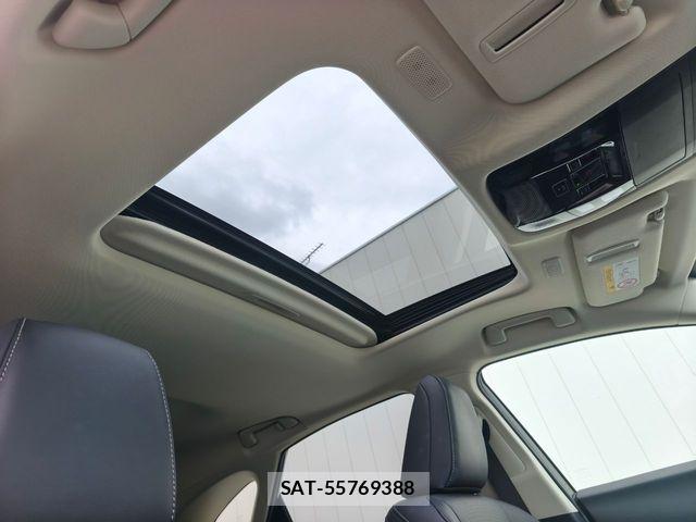 Lexus NX 2023-06 8208433-17