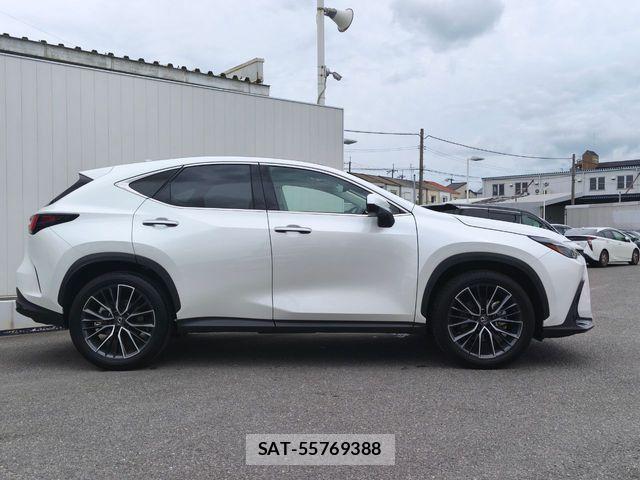 Lexus NX 2023-06 8208433-27