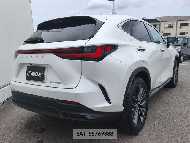 Lexus NX 2023-06 8208433-2