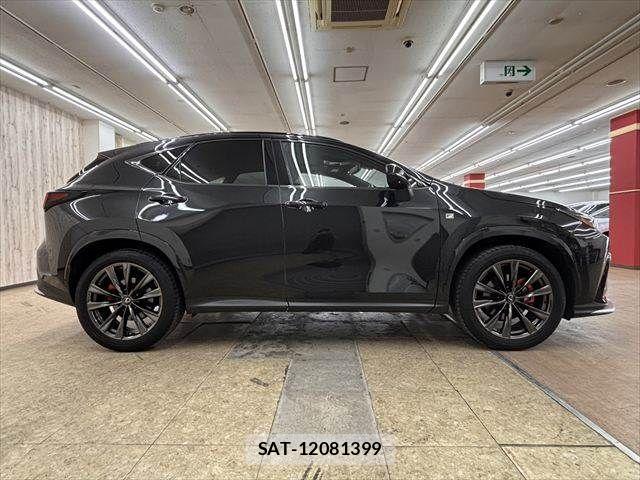Lexus NX 2023-11 8208443-16