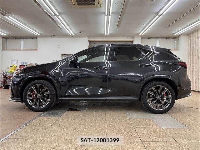 Lexus NX 2023-11 8208443-20
