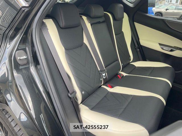 Lexus NX 2023-10 8208435-11