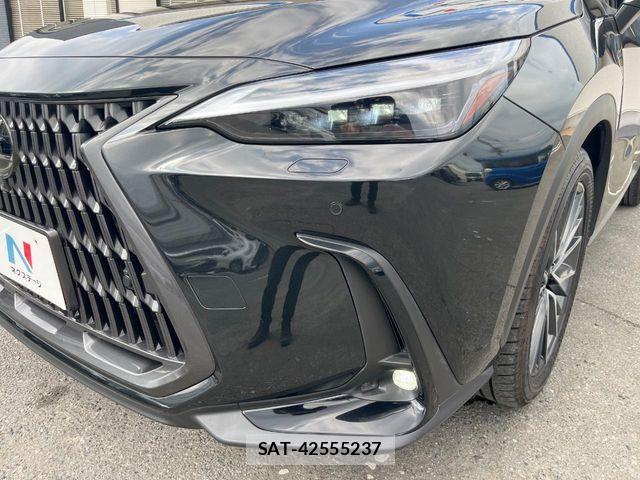 Lexus NX 2023-10 8208435-13