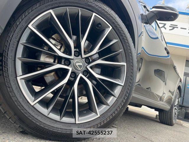 Lexus NX 2023-10 8208435-14