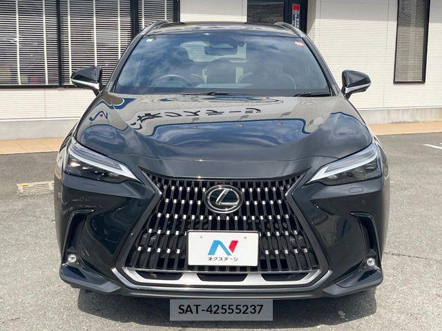 Lexus NX 2023-10 8208435-15
