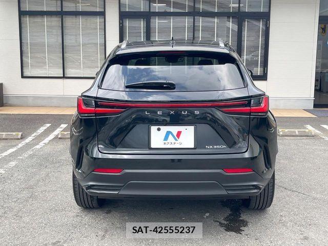 Lexus NX 2023-10 8208435-16