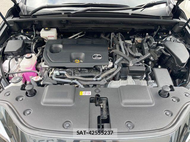 Lexus NX 2023-10 8208435-17