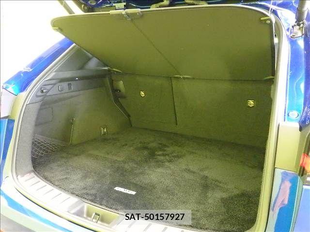 Lexus NX 2023-04 8230633-28