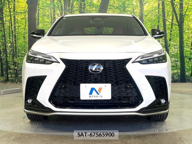 Lexus NX 2024-02 8245741-13