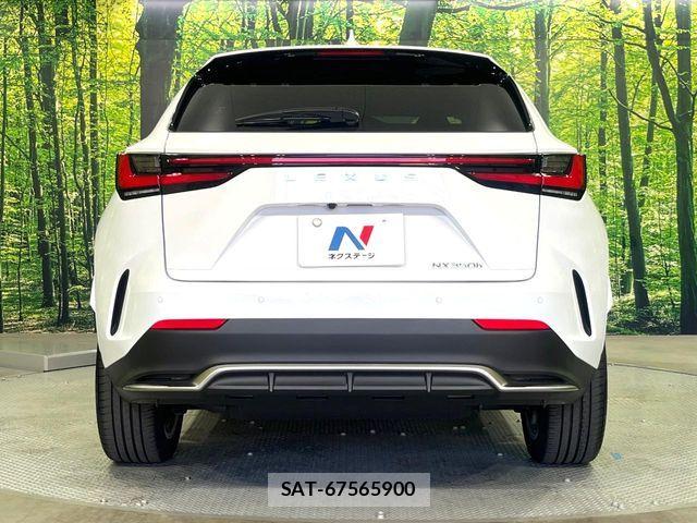Lexus NX 2024-02 8245741-14