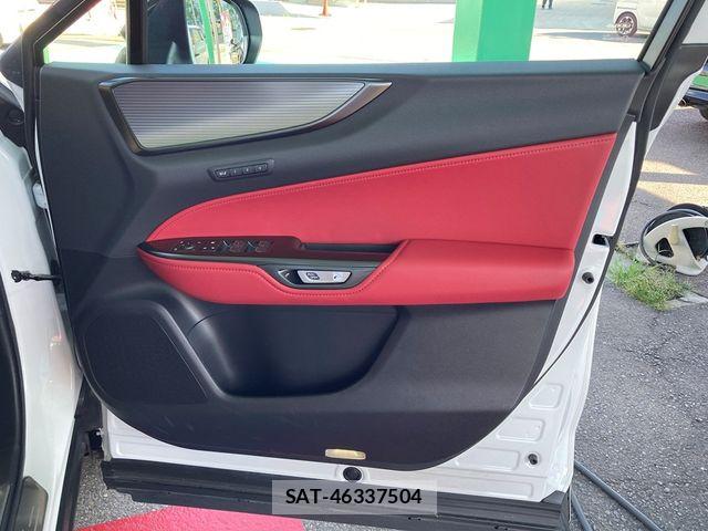 Lexus NX 2023-10 8245744-10