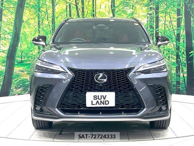 Lexus NX 2023-12 8245743-14