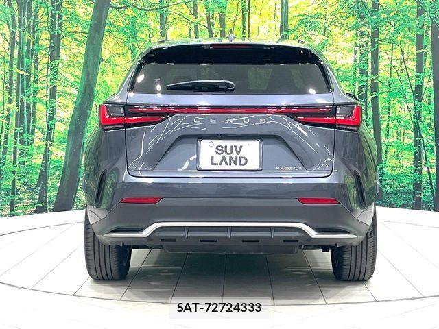 Lexus NX 2023-12 8245743-15