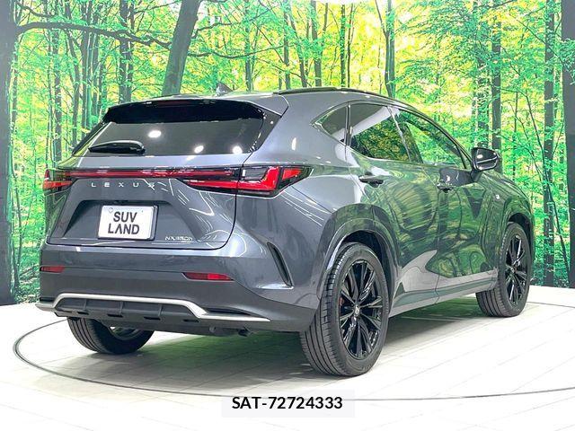 Lexus NX 2023-12 8245743-16