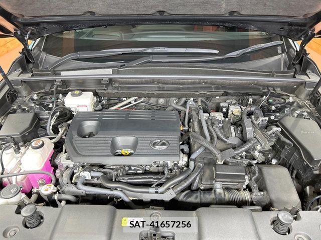Lexus NX 2023-07 8315207-17