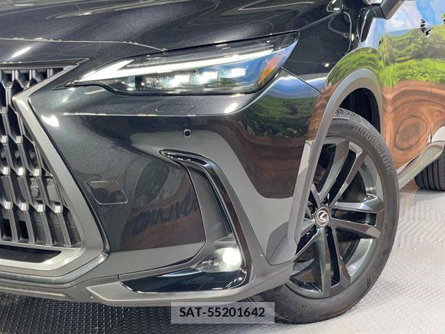 Lexus NX 2023-09 8315206-12