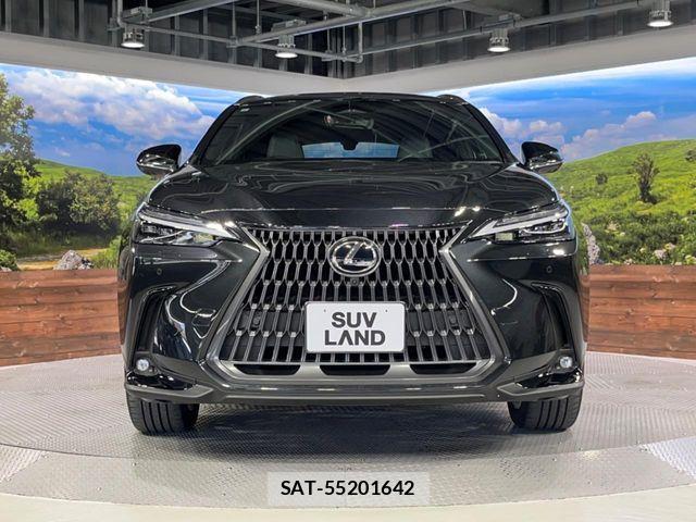 Lexus NX 2023-09 8315206-14