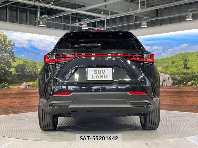 Lexus NX 2023-09 8315206-15