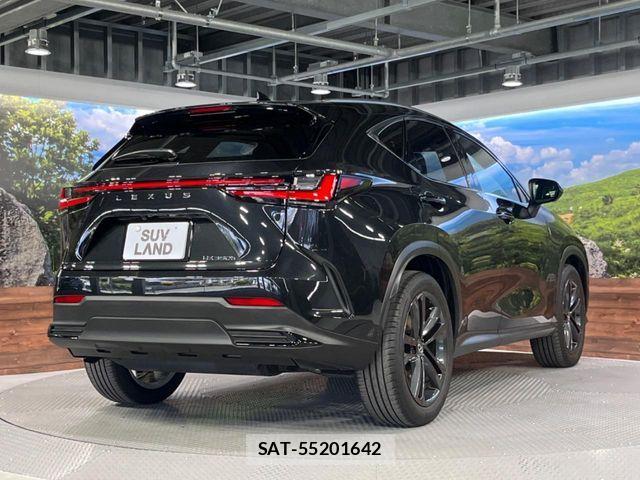 Lexus NX 2023-09 8315206-17
