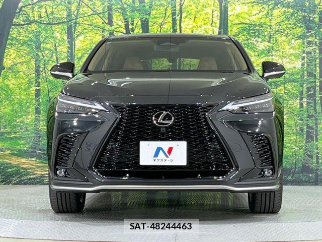 Lexus NX 2025-11 8315203-13