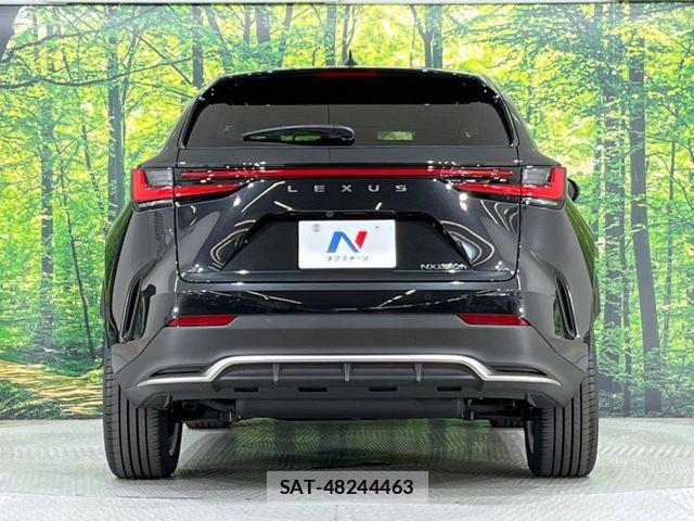 Lexus NX 2025-11 8315203-14